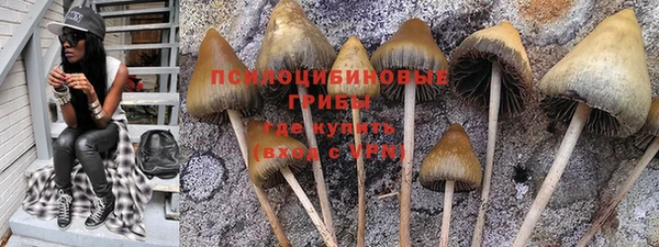 марки nbome Аркадак