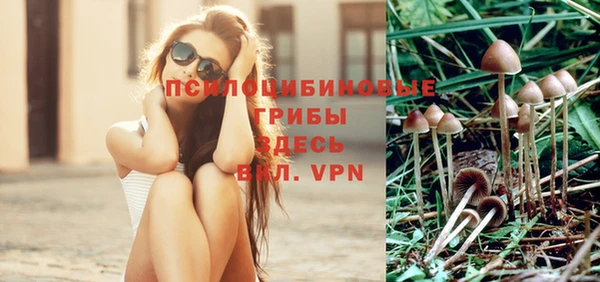 прущая мука Арсеньев