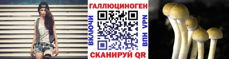 купить закладку  даркнет состав  мега зеркало  Псилоцибиновые грибы ЛСД  Барабинск 